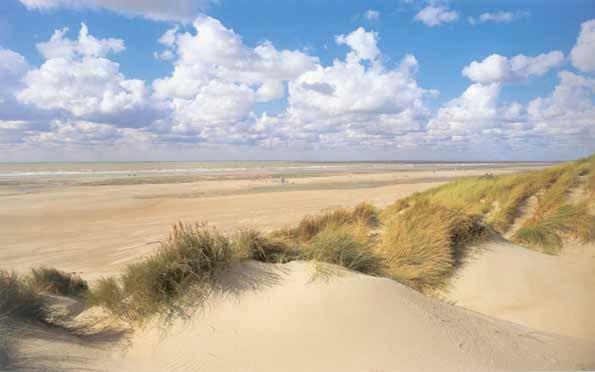 Appartement Proche Mer Berck Exterior foto